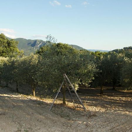Mas Provencal La Serallere Au Coeur Des Oliviers Venterol  Eksteriør billede
