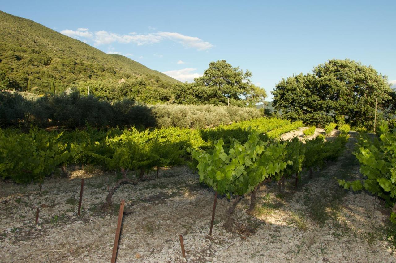 Mas Provencal La Serallere Au Coeur Des Oliviers Venterol  Eksteriør billede