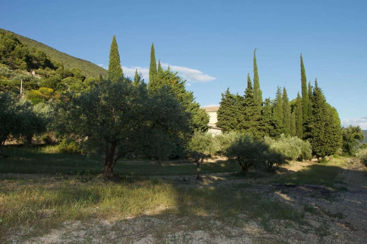 Mas Provencal La Serallere Au Coeur Des Oliviers Venterol  Eksteriør billede