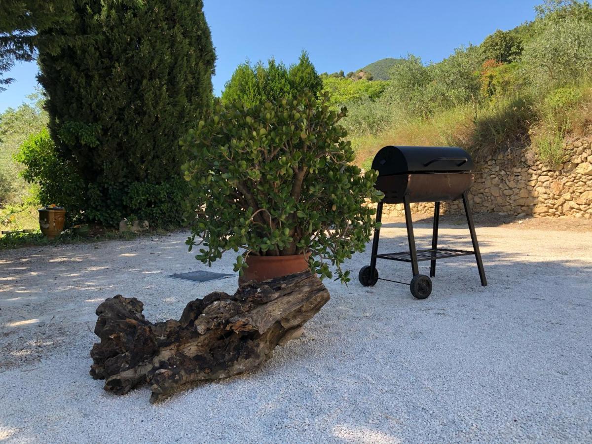 Mas Provencal La Serallere Au Coeur Des Oliviers Venterol  Eksteriør billede